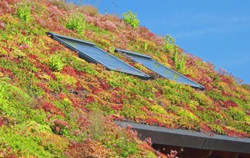 Monkwearmouth living roof systems