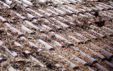 Monkwearmouth roof cleaning companies